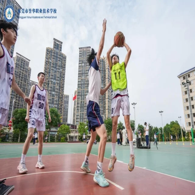 体育产业热点战术新视角第94组的深度解读